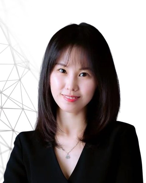 Lin Li — WE Partners Network partner